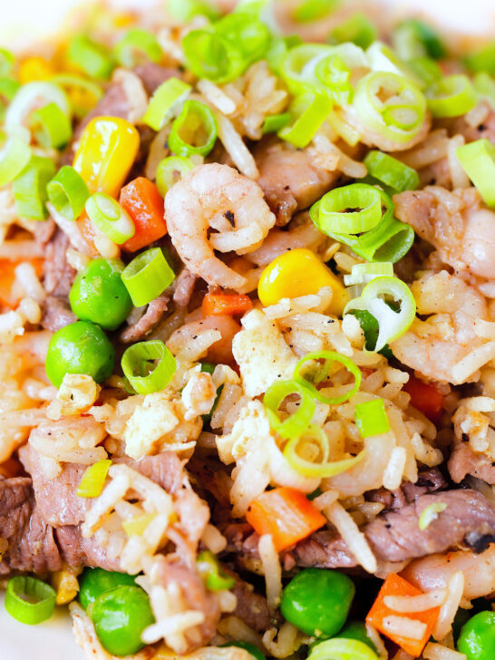 Close-up Chinese takeaway style special fried rice with beef, pork, chicken and prawns.