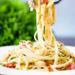Chicken and crispy bacon pasta (linguine) in a creamy white wine sauce on a fork.