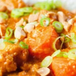 Close-up domoda a West African stew, vegan version with sweet potato and carrot, served with rice.