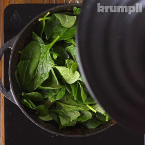 Lamb Saag process shot 15 of 19
