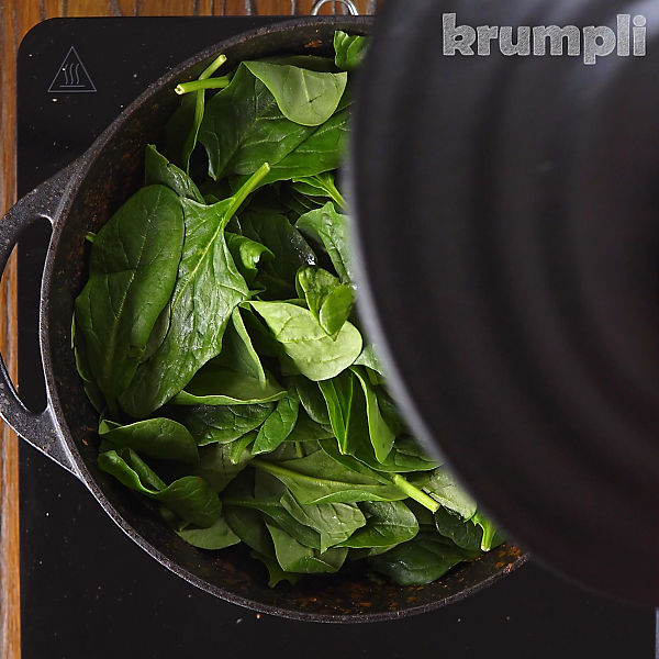 Lamb Saag process shot 15 of 19