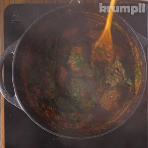 Lamb Saag process shot 16 of 19