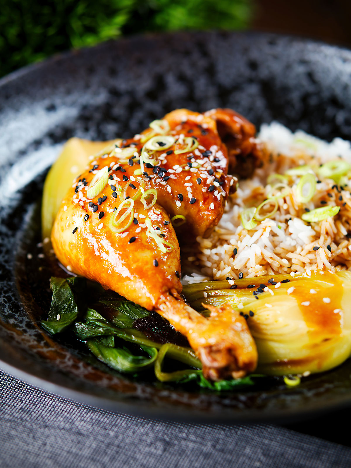 Chinese influenced soy sauce braised chicken leg with pak choi and rice.