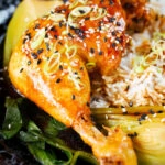 Close-up Chinese influenced soy sauce braised chicken leg with pak choi and rice.