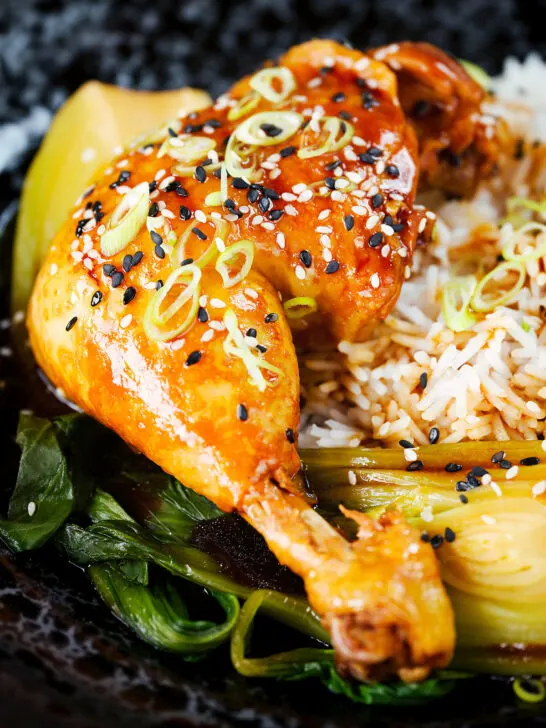Close-up Chinese influenced soy sauce braised chicken leg with pak choi and rice.