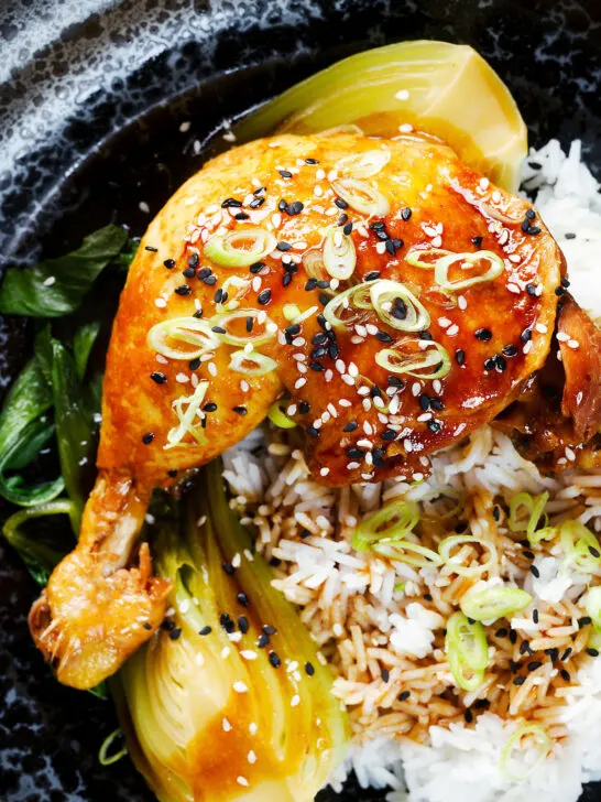 Close-up overhead Chinese influenced soy sauce braised chicken leg with pak choi and rice.