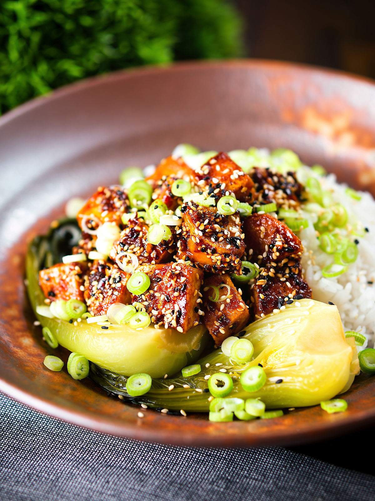 Spicy sticky sesame tofu served with pak choi and jasmine rice.
