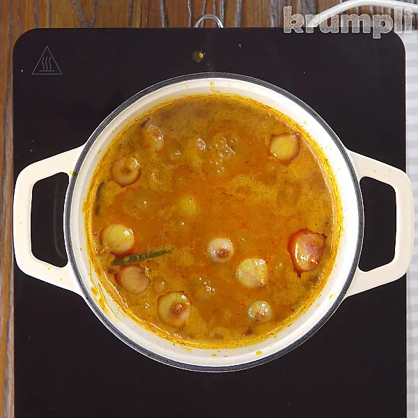 Thai Yellow Chicken Curry process shot 6 of 11
