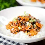 Crispy sticky sesame chicken served with white rice and spring onions.