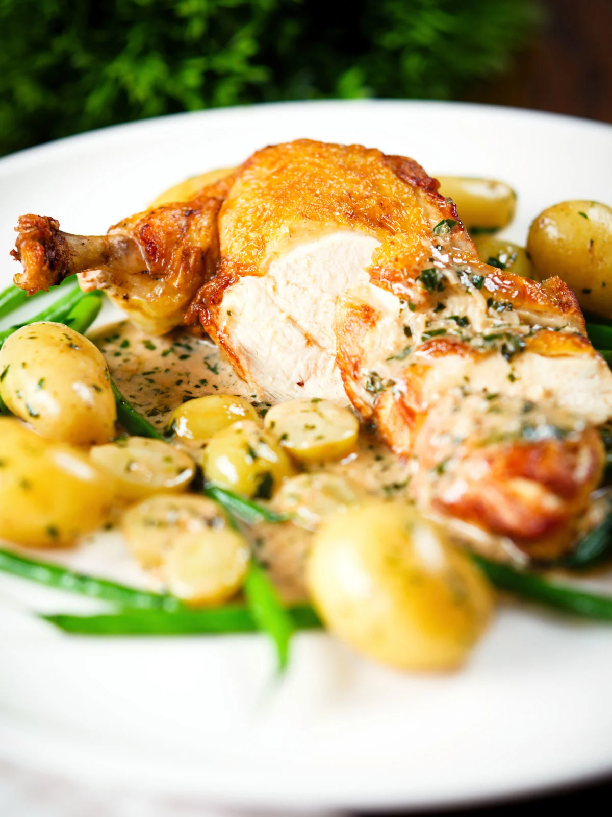 Chicken with Veronique sauce (grapes, vermouth and tarragon), new potatoes and fine beans.