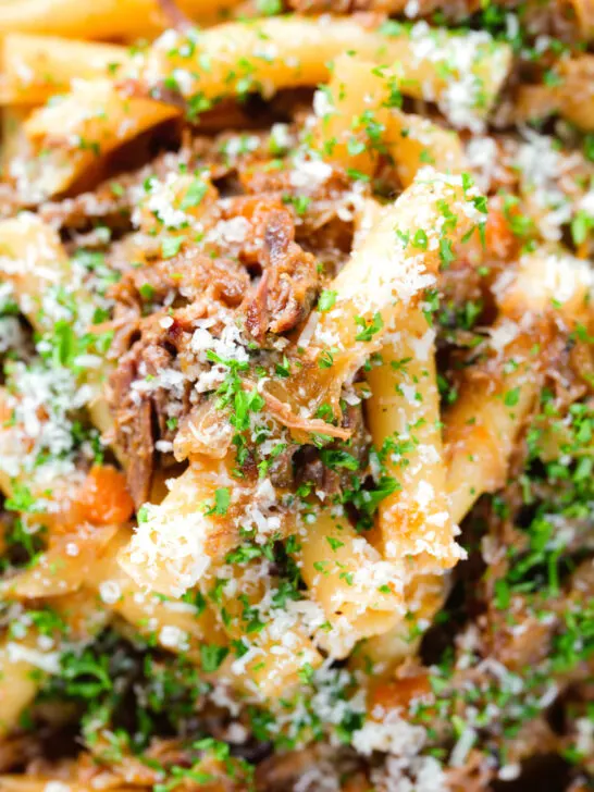 Close-up overhead pasta alla Genovese: beef and onion ragu with ziti.