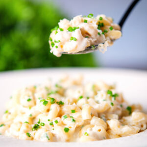 Cream cheese (Philadelphia) pasta served with snipped chives and fresh pecorino cheese.