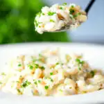Cream cheese (Philadelphia) pasta served with snipped chives and fresh pecorino cheese.