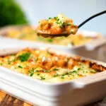 Individual cheesy baked bean pasta bakes (bean mac and cheese) being eaten with a spoon.