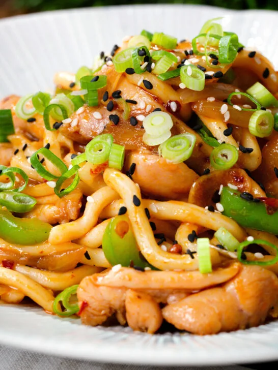 Close-up garlic chicken udon noodles stir fry with crispy chilli oil.