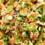 Close-up overhead garlic chicken udon noodles stir fry with crispy chilli oil.