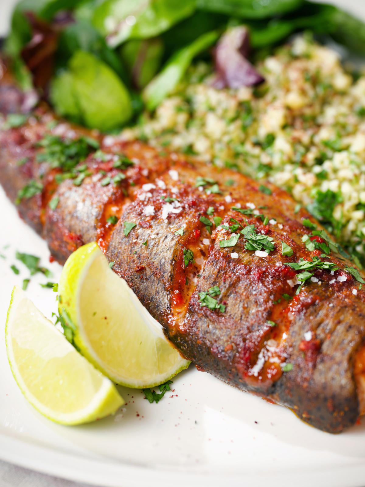 Close-up harissa baked/roasted rainbow trout with herbed bulgur wheat.