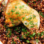 Overhead close-up chicken leg and pearl barley stew with red wine and prunes.