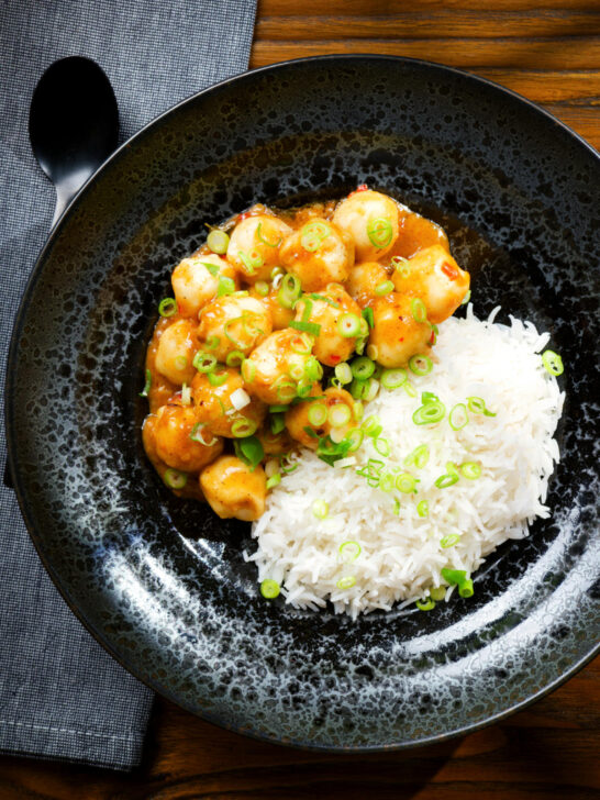 Overhead Hong Kong fish ball curry with rice and spring onions.