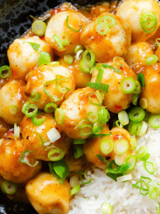 Overhead close-up Hong Kong fish ball curry with rice and spring onions.