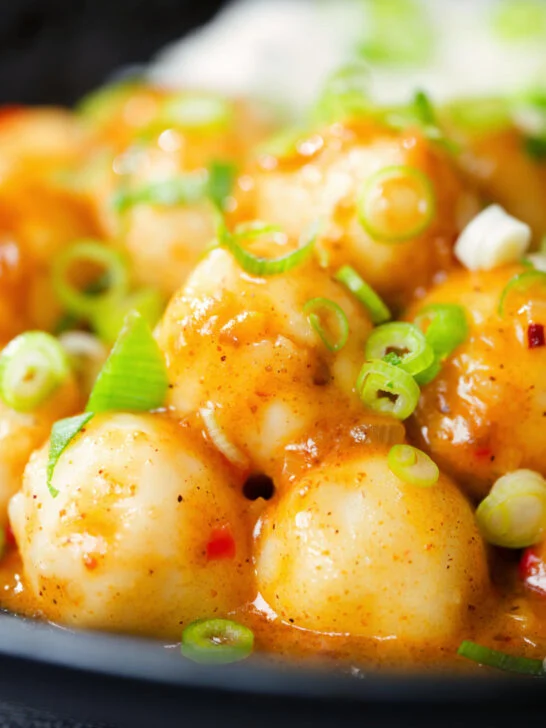 Close-up Hong Kong fish ball curry with rice and spring onions.