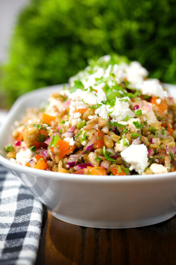 Close-up warm freekeh salad with feta cheese, peppers, tomatoes and parsley.