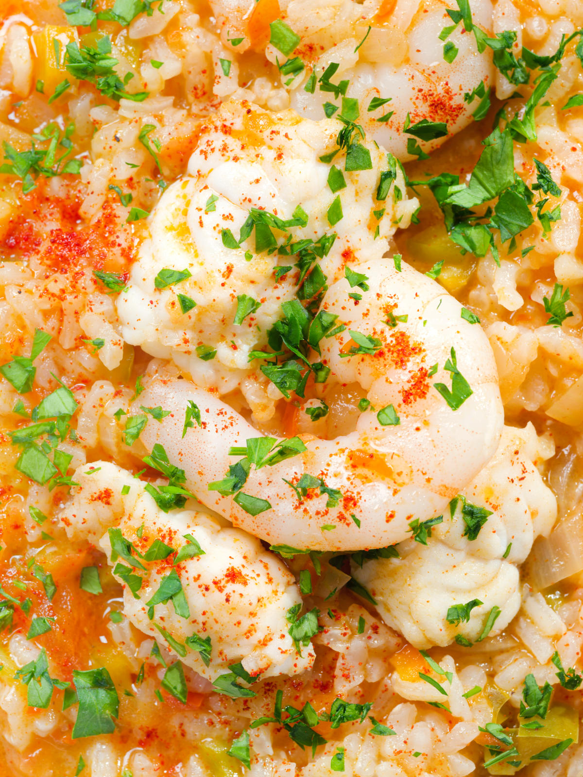 Close-up overhead arroz de tamboril: Portuguese prawn and monkfish rice.