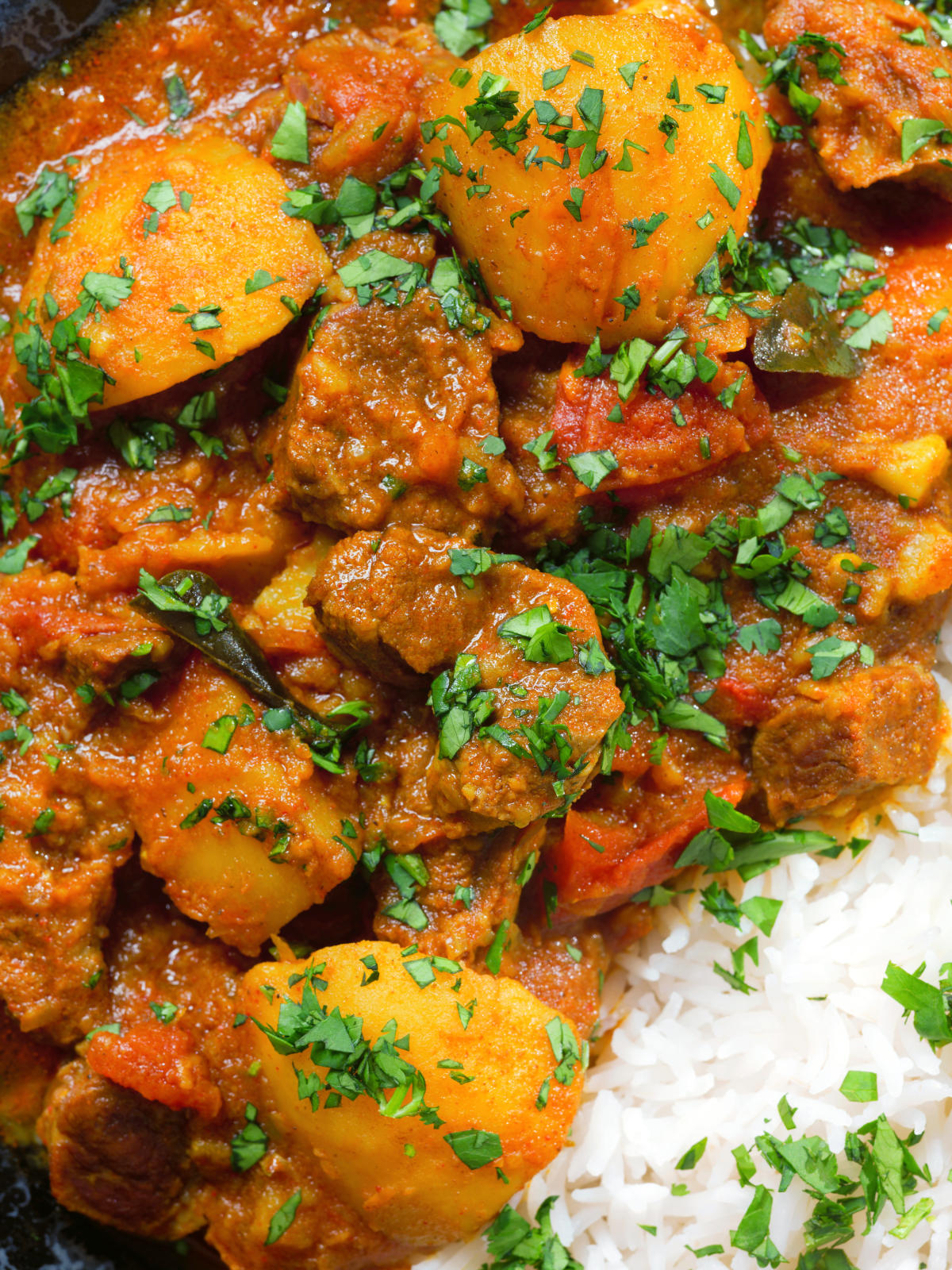 Overhead close-up South African influenced lamb and potato Durban curry served with rice.
