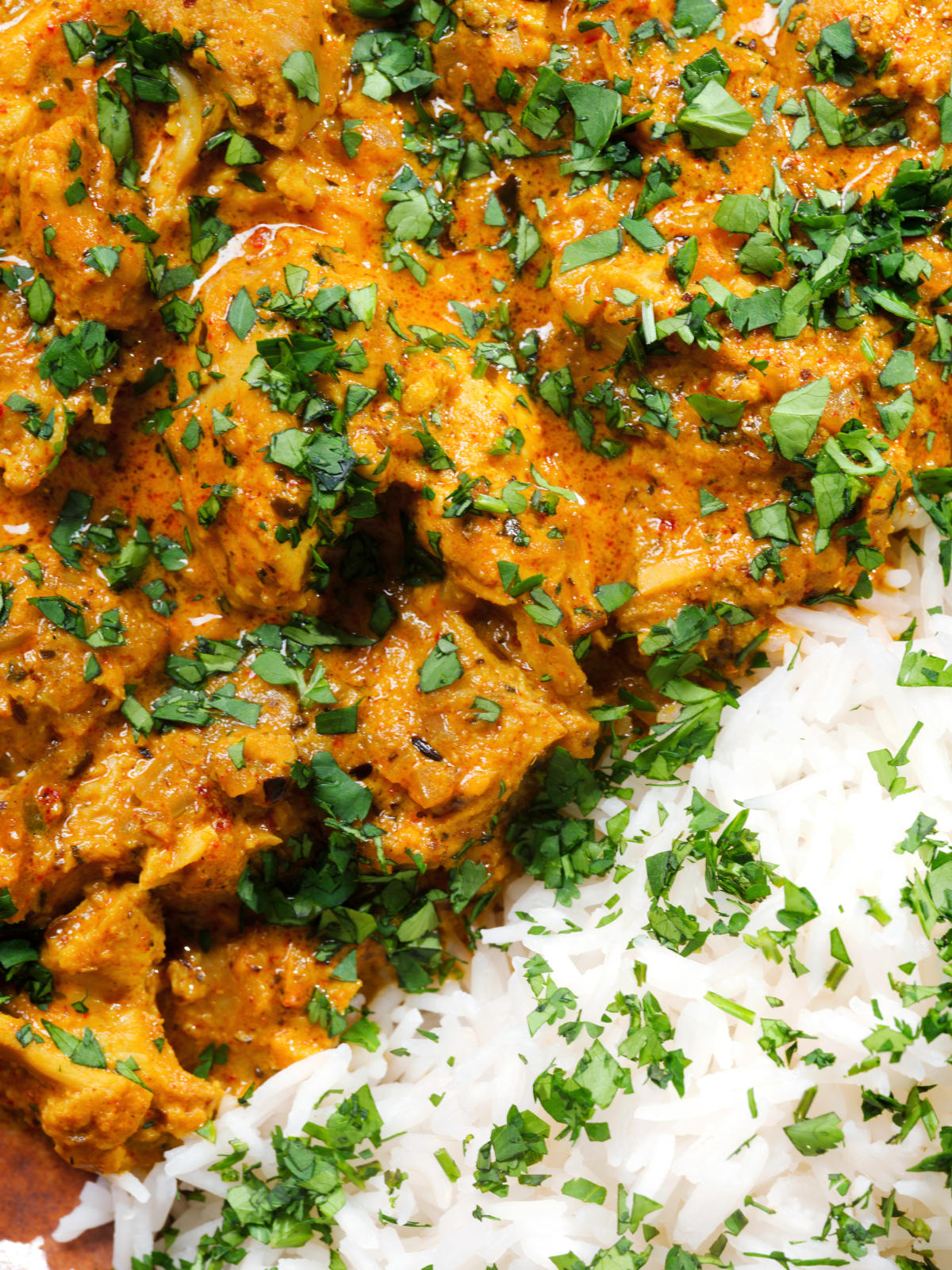 Close-up overhead Indian nawabi chicken curry with basmati rice and coriander.
