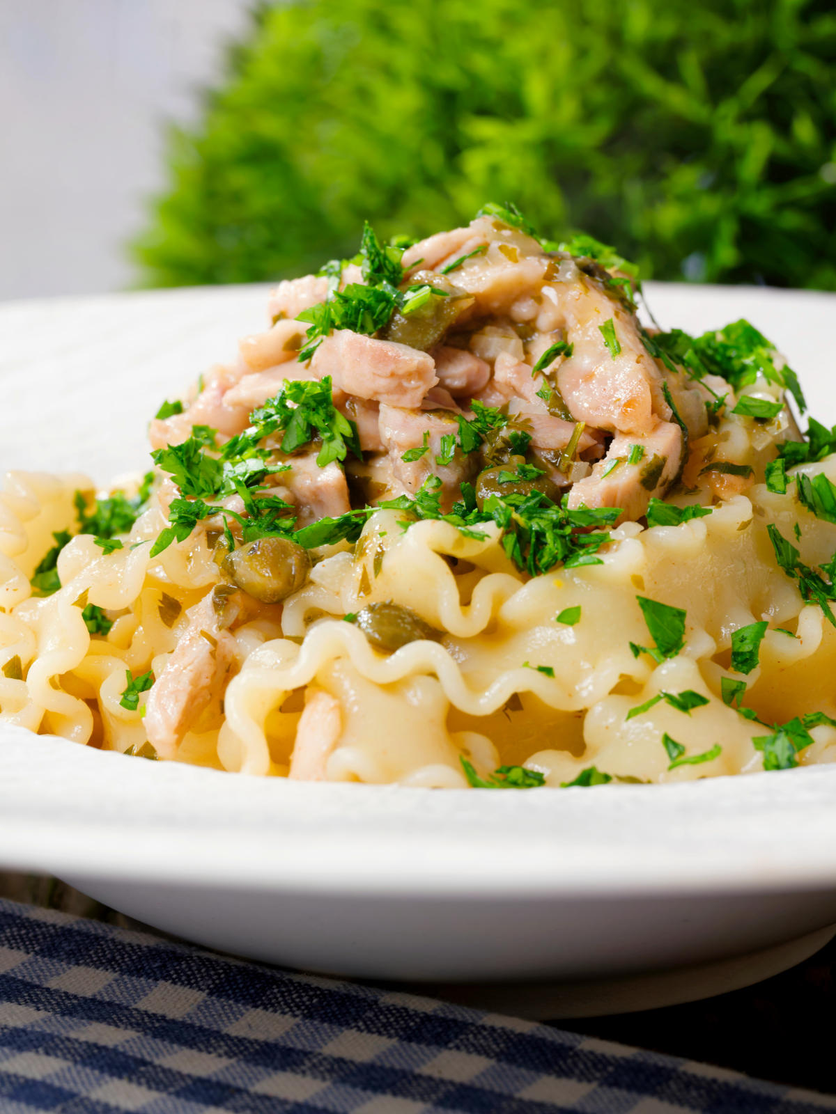 Close-up lemon and caper chicken piccata pasta (malfadine) garnished with fresh parsley.