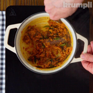 Durban Curry Process Shot 4 of 7