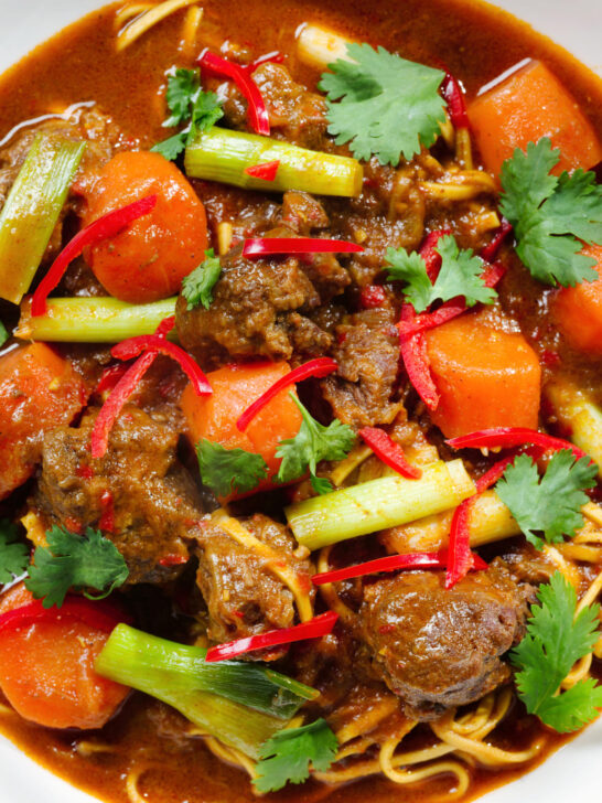 Overhead close-up M&igrave; B&ograve; Kho, Vietnamese beef and egg noodle stew with carrots and spring onions.