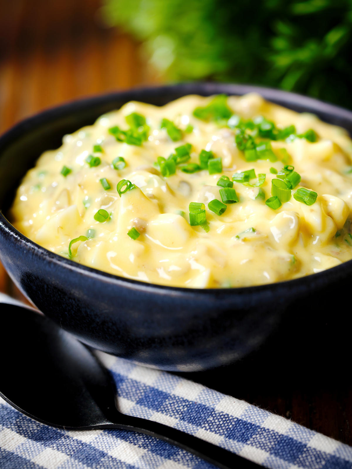 French sauce gribiche garnished with snipped chives.