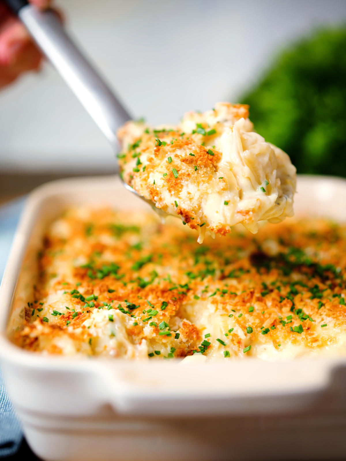 Cheddar cheese and onion baked gnocchi gratin on a spoon.
