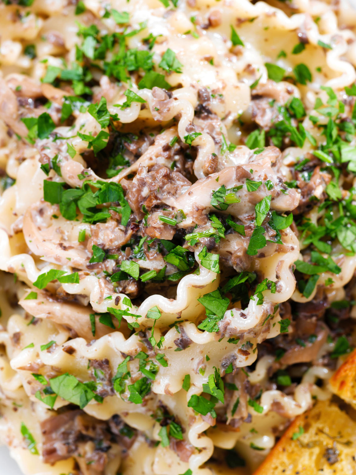 Close-up overhead creamy garlic mushroom pasta served with fresh parsley and garlic bread.