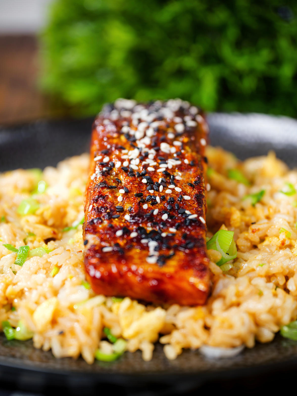 Hoisin sauce glazed salmon fillet topped with sesame seeds served with egg fried rice.