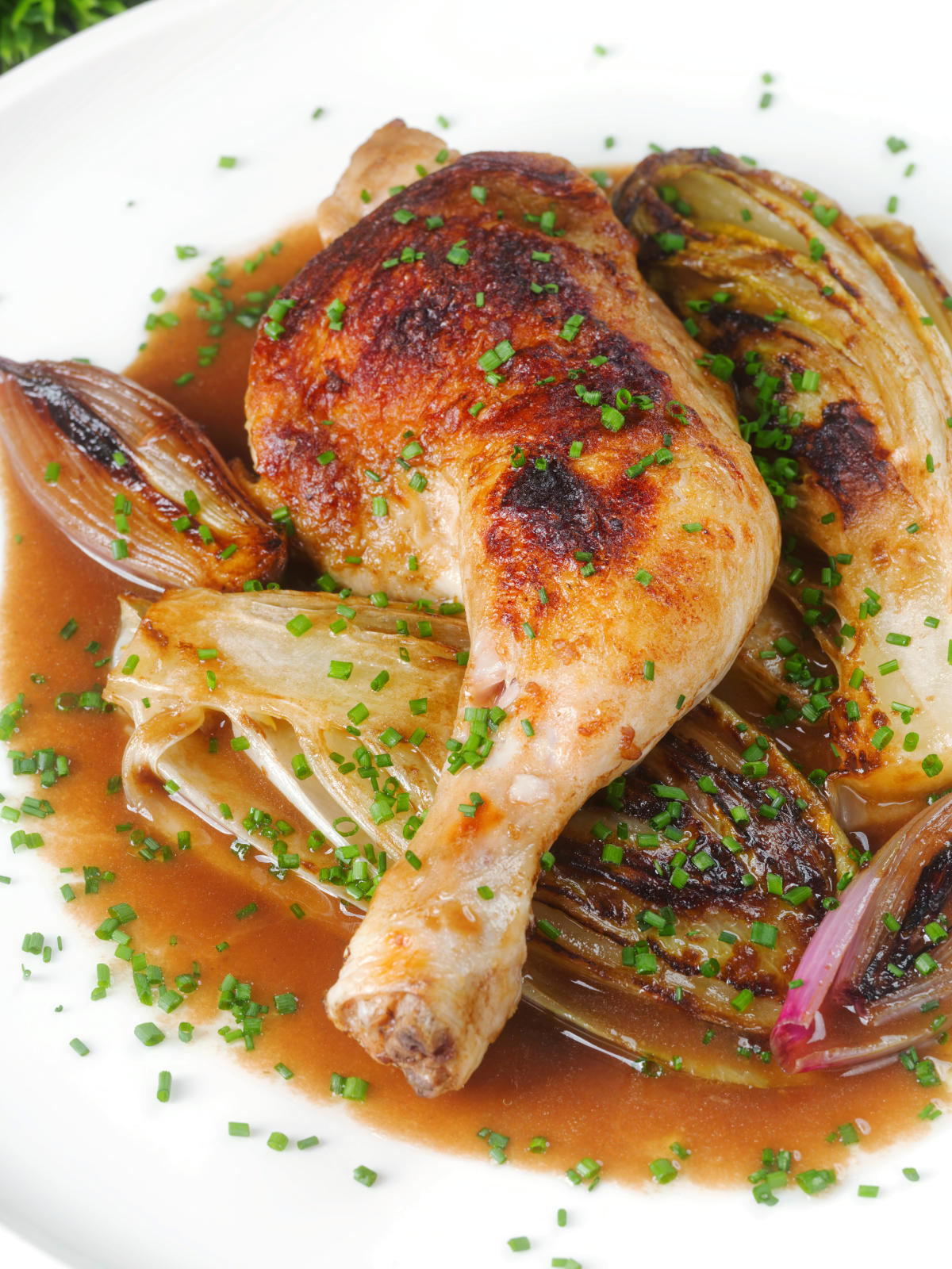 Baked chicken leg, Belgian endive and shallots with balsamic gravy and snipped chives.