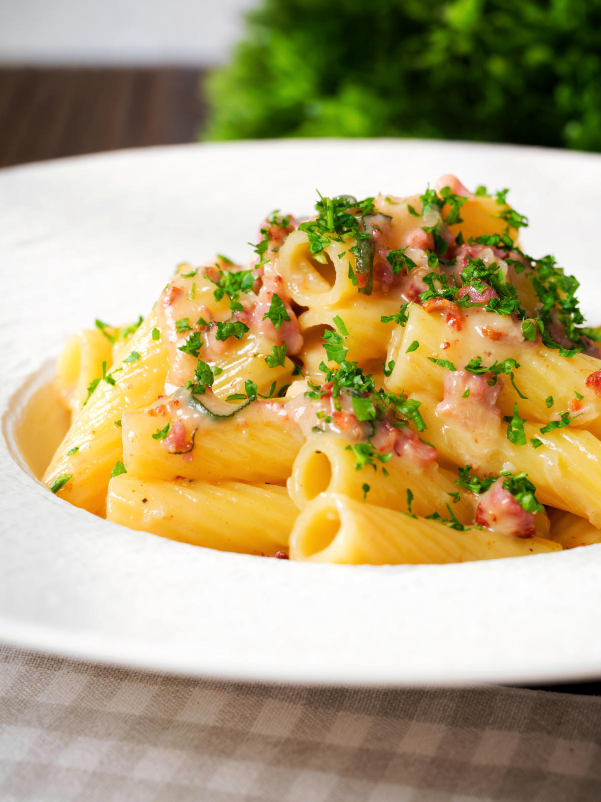 Close-up brie and bacon pasta (rigatoni) garnished with fresh parsley.