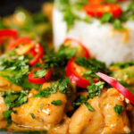 Close-up Thai Panang chicken curry with Jasmine rice, chilli and coriander.